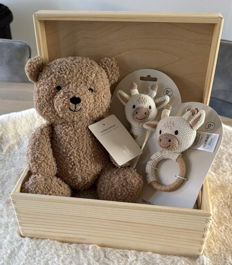 Memorybox - Teddy Biscuit